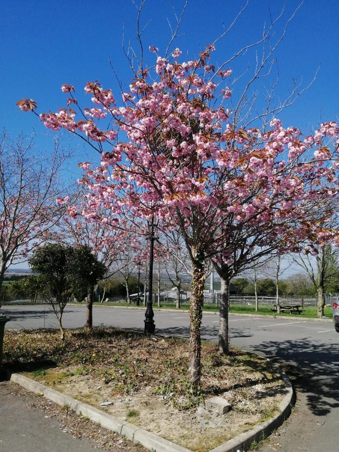 Tara View Apartments Garristown Zewnętrze zdjęcie